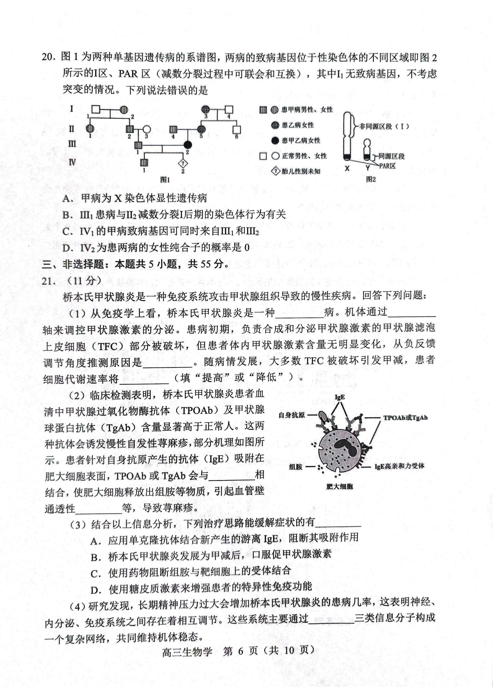 生物试题2025年东北三省四城市联考暨沈阳市高三质量监测（二）_06.jpg
