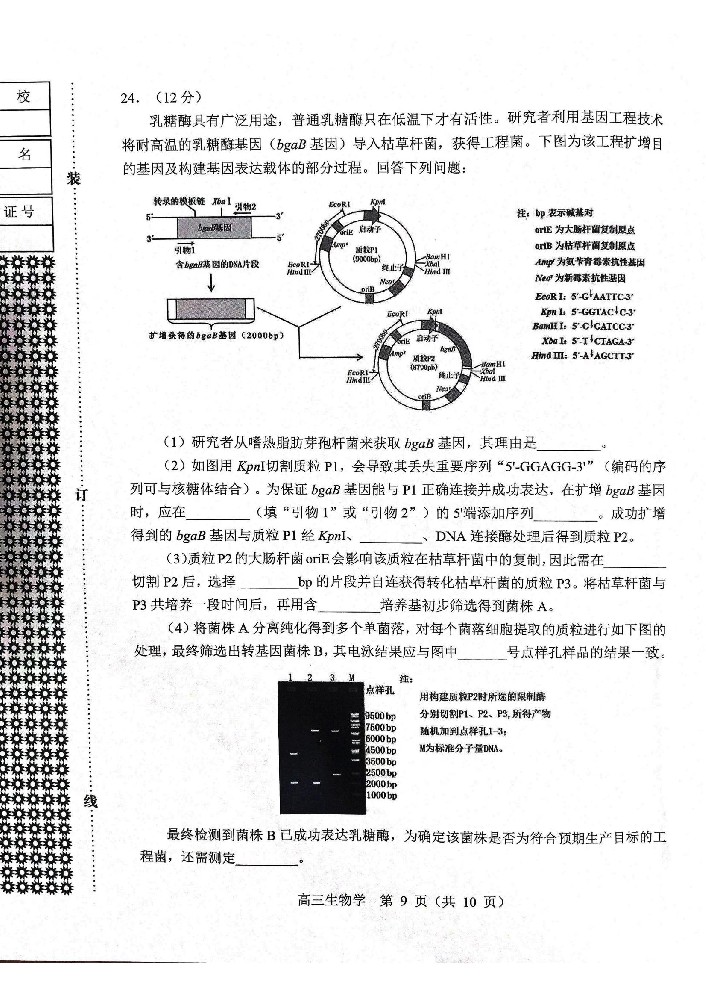 生物试题2025年东北三省四城市联考暨沈阳市高三质量监测（二）_09.jpg