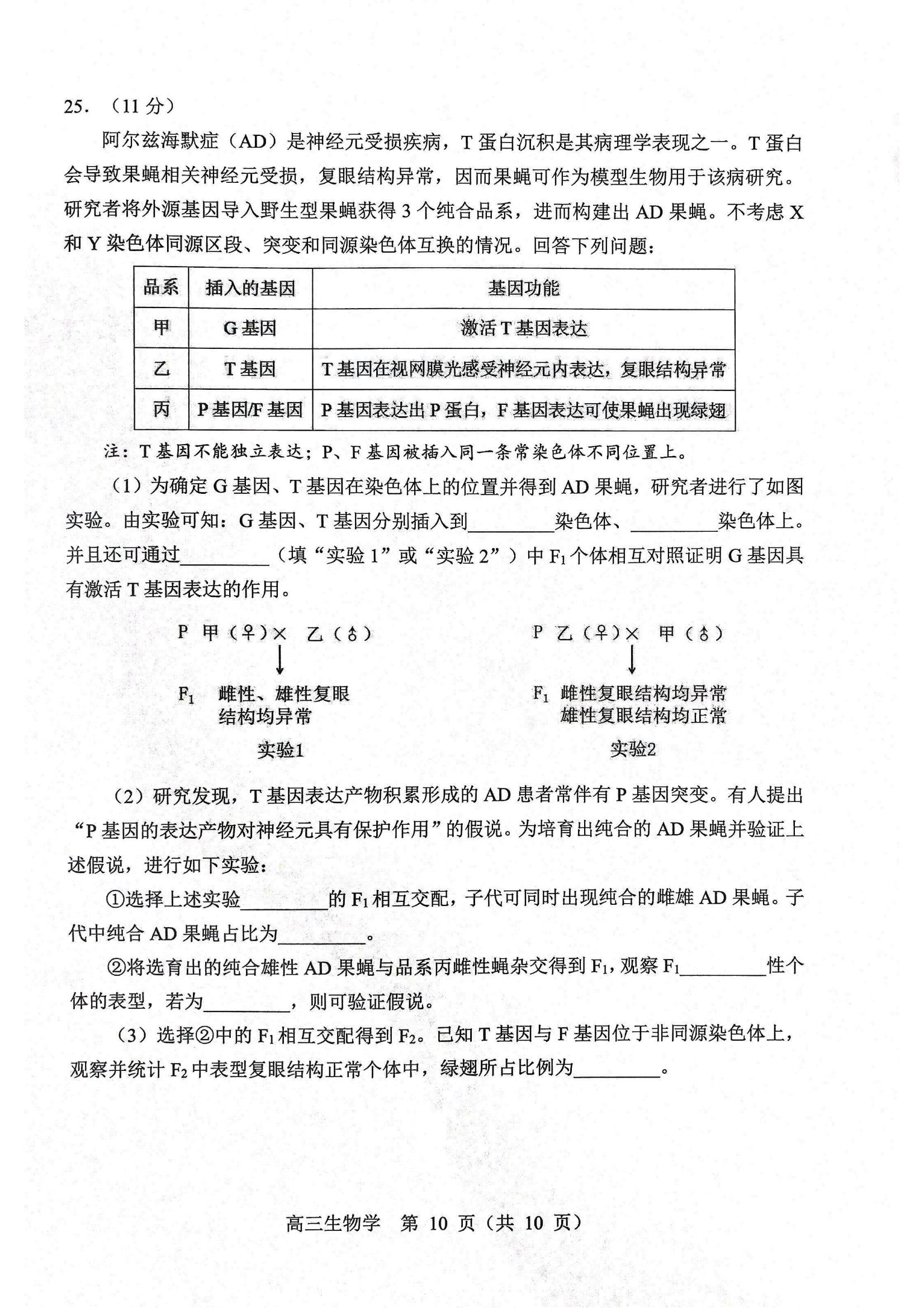 生物试题2025年东北三省四城市联考暨沈阳市高三质量监测(二)_10.jpg